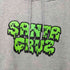 サンタクルズ SANTA CRUZ デザインプリント プルオーバーパーカー メンズ import:L